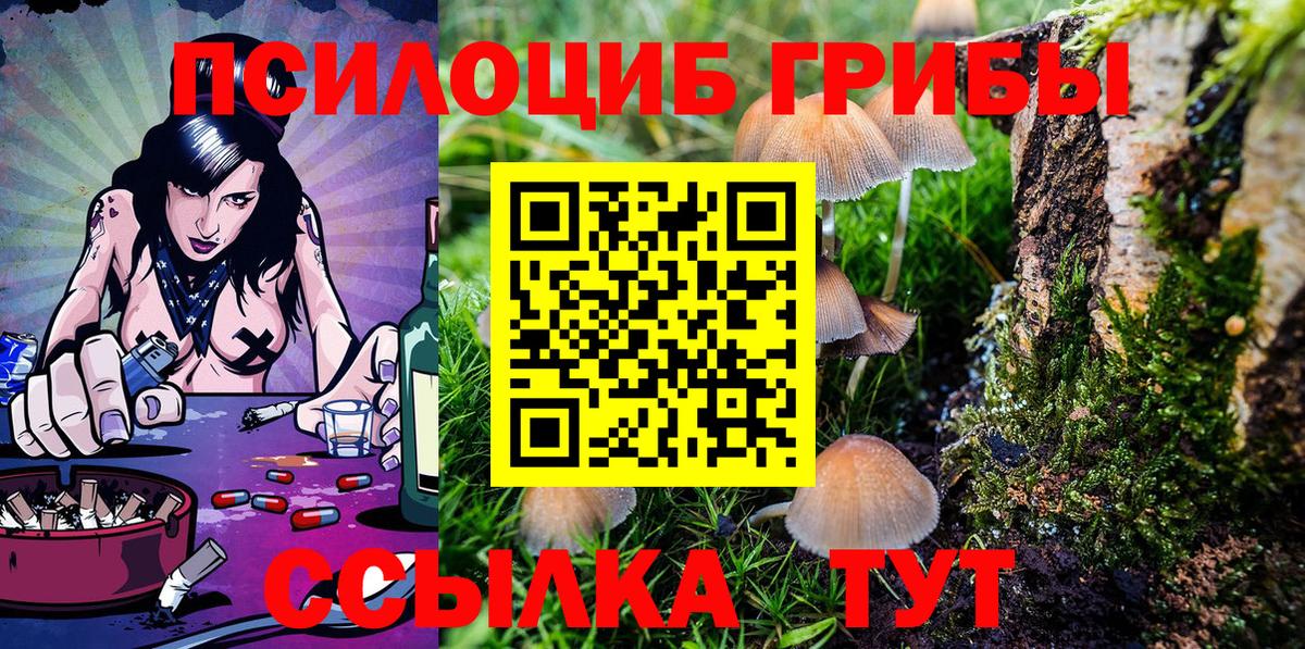 Псилоцибиновые грибы MAGIC MUSHROOMS  Вход с VPN  Похвистнево  хочу наркоту  Галлюциногенные грибы Magic Shrooms 